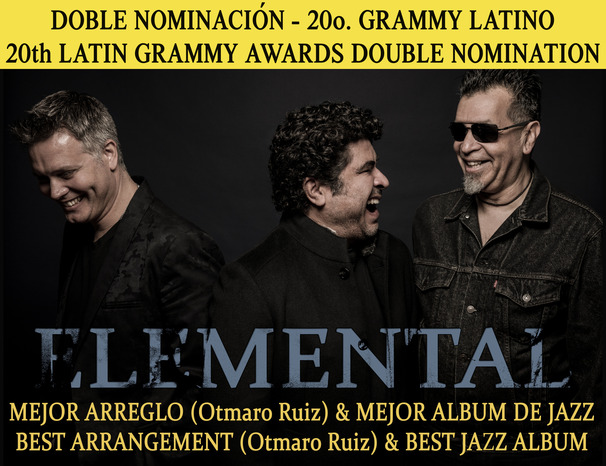 Elemental Latin Grammy copy